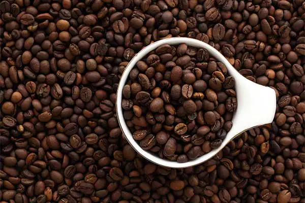 قهوه چیست | 0 تا 100 قهوه